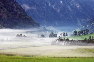 Similar image 985732