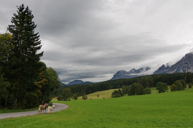 Similar image 985739