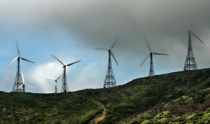 Similar image 985746