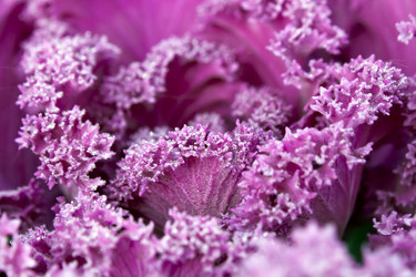 Similar image 985798