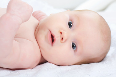 Similar image 985821