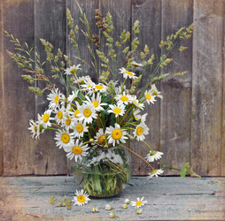 Similar image 985826