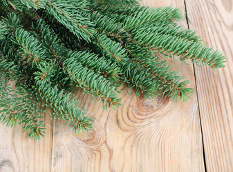 Similar image 985838