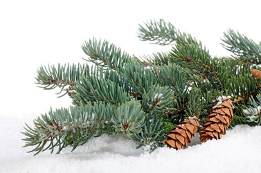 Similar image 985859