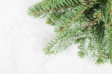 Similar image 985860