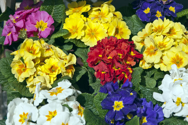 Similar image 985889