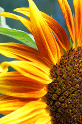 Similar image 985901