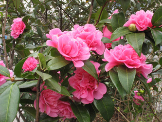 Similar image 985902