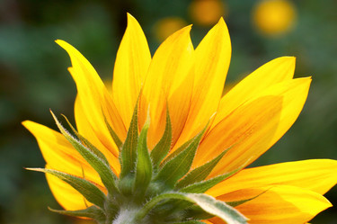 Similar image 985904