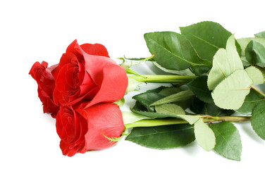 Similar image 985947