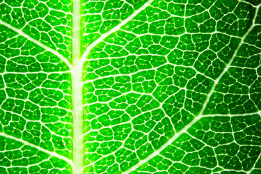 Similar image 986007