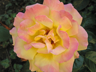 Similar image 986020