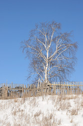 Similar image 986025