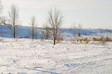 Similar image 986027