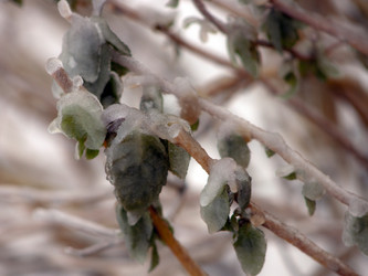 Similar image 986038