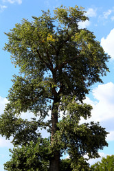 Similar image 986041