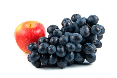 Similar image 986043