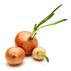 Similar image 986136