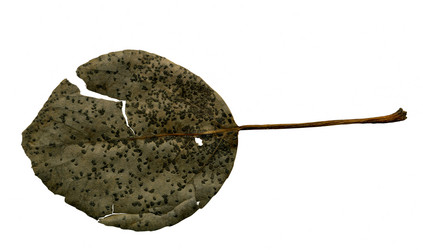 Similar image 986165