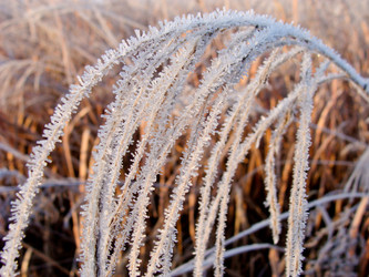 Similar image 986236