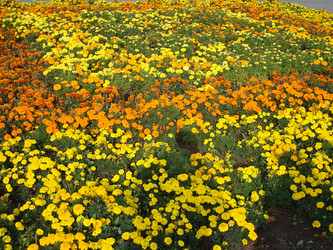 Similar image 986277