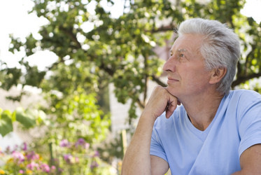 Similar image 986434