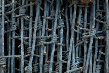 Similar image 986441