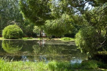 Similar image 986508