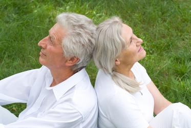 Similar image 986532