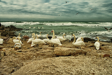 Similar image 986549