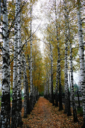 Similar image 986562