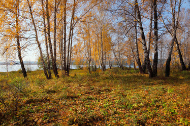 Similar image 986678