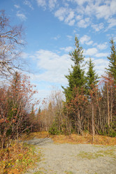 Similar image 986689