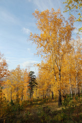 Similar image 986697