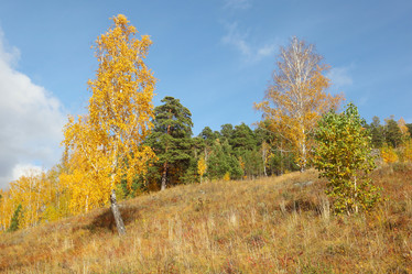 Similar image 986702