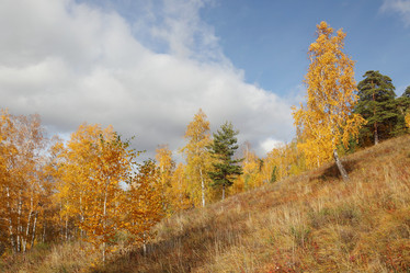 Similar image 986708