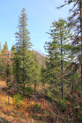 Similar image 986717