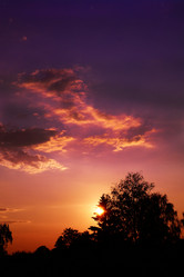 Similar image 986718