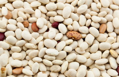 Similar image 986808