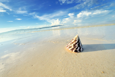 Similar image 986825