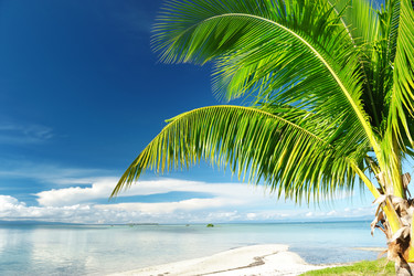 Similar image 986853