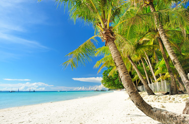 Similar image 986854