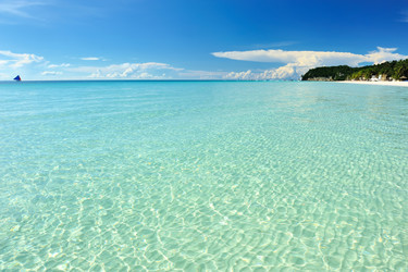 Similar image 986857