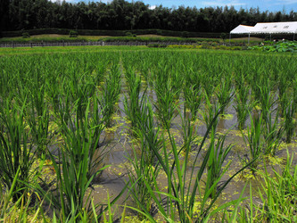 Similar image 986867