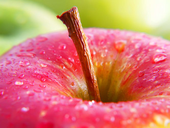 Similar image 986879