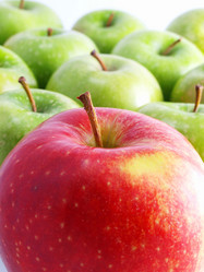 Similar image 986881