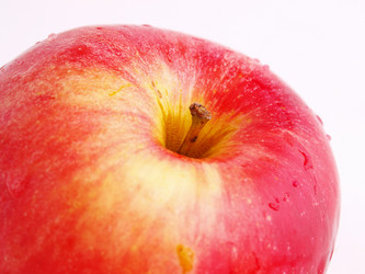 Similar image 986883