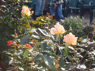 Similar image 986889