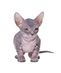 Similar image 986917