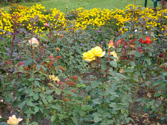 Similar image 986918